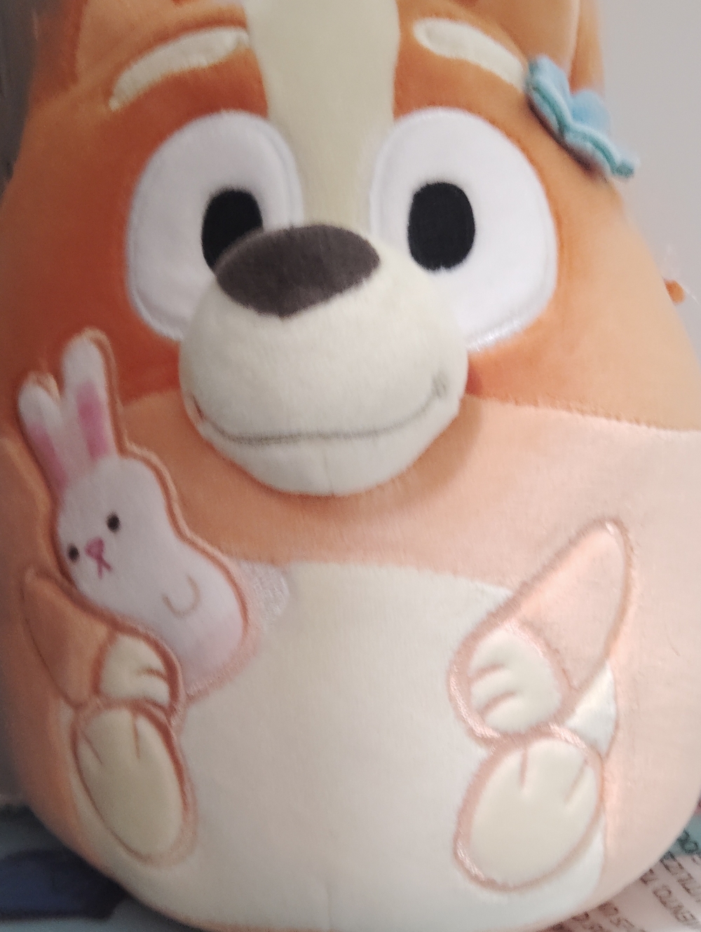 Bluey Squishmallows
